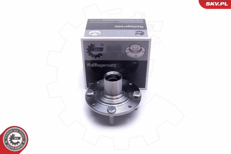 Wheel Bearing Kit